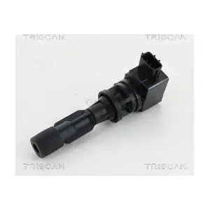 TRISCAN 8860 50013