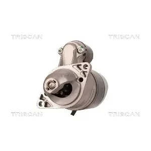 TRISCAN 8305 10111