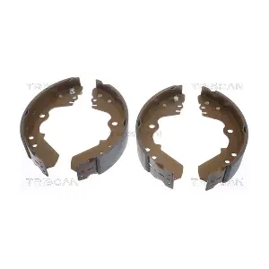 TRISCAN 810010528
