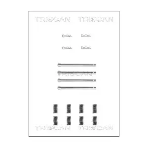 TRISCAN 8105 701435
