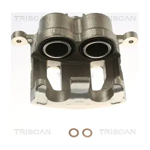 8175 43138 TRISCAN