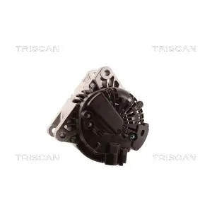 TRISCAN 8310 13024
