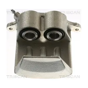 TRISCAN 8175 13124