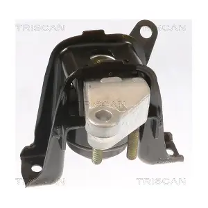TRISCAN 8505 13100