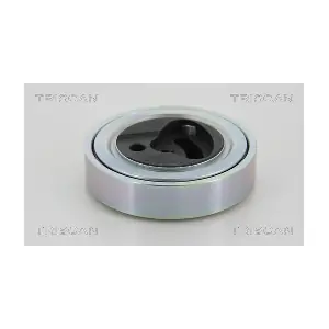 TRISCAN 8641691006