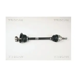 8540 25599 TRISCAN
