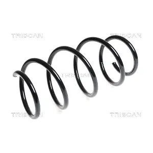 875013160 TRISCAN