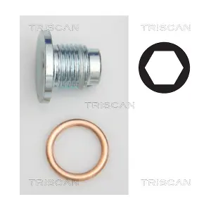TRISCAN 95001019