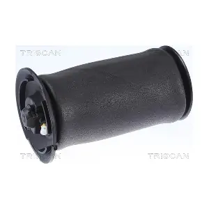 8720 11202 TRISCAN