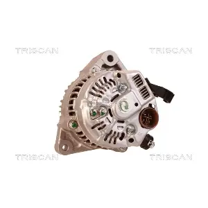 TRISCAN 8310 25024
