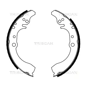TRISCAN 810041617