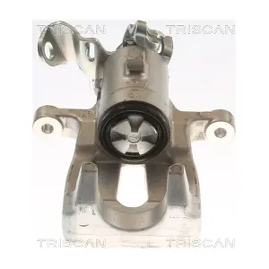 TRISCAN 8175 25206