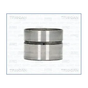 TRISCAN 80-29010