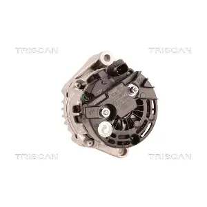 TRISCAN 8310 13045