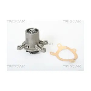 8600 23891 TRISCAN