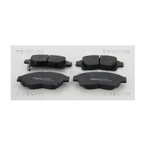 TRISCAN 8110 13100