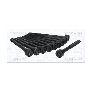 TRISCAN 98-2604