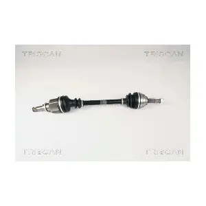 8540 25611 TRISCAN