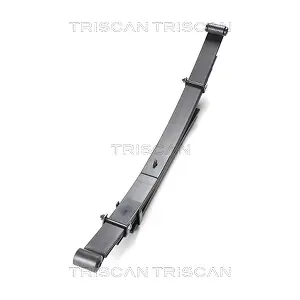 8765 42009 TRISCAN