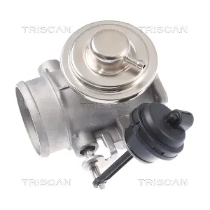 8813 29309 TRISCAN