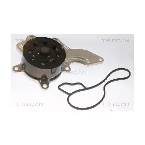 TRISCAN 860013053