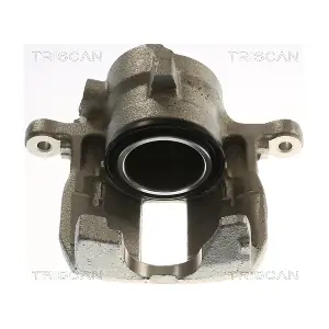 8175 23134 TRISCAN