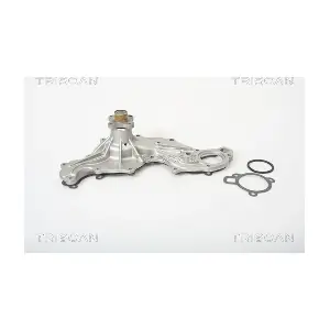TRISCAN 860016062