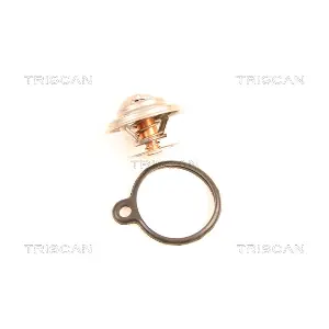 8620 10091 TRISCAN