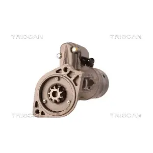 TRISCAN 8305 29005