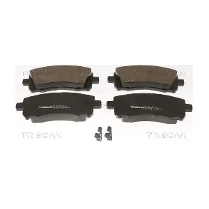 TRISCAN 8110 68173