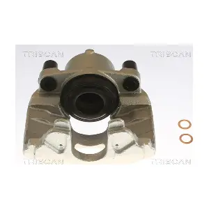 TRISCAN 8175 10121