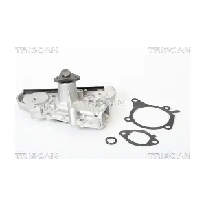 TRISCAN 860050001