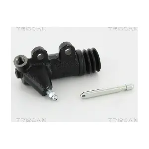 813013318 TRISCAN