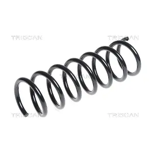 8750 16095 TRISCAN