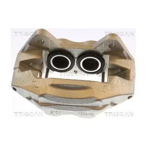 8175 13131 TRISCAN