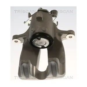 TRISCAN 8175 24254