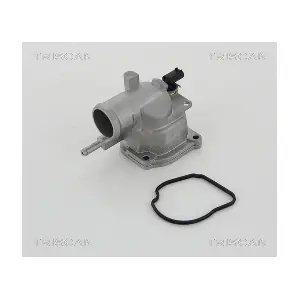8620 19487 TRISCAN
