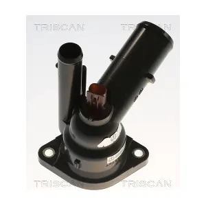862055282 TRISCAN