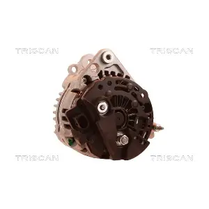 TRISCAN 8310 24011