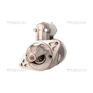 8305 11020 TRISCAN
