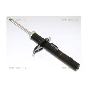 TRISCAN 870528102