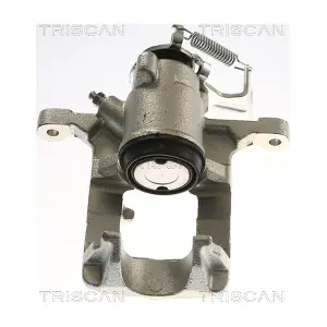 TRISCAN 8175 24242