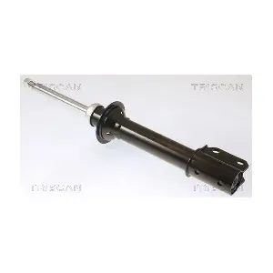 8705 25105 TRISCAN
