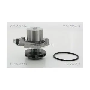 860029065 TRISCAN