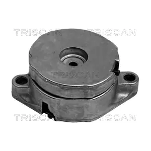 TRISCAN 8641 293001