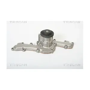 TRISCAN 860012957
