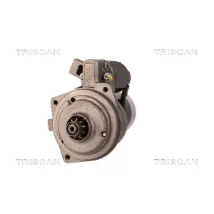 TRISCAN 8305 10045