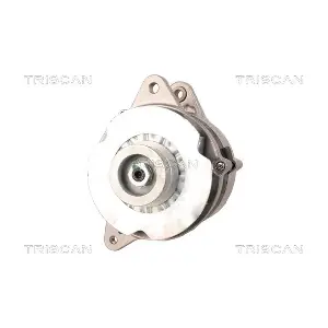TRISCAN 8310 13017