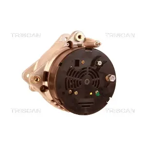 TRISCAN 8310 40001