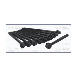 TRISCAN 98-6011